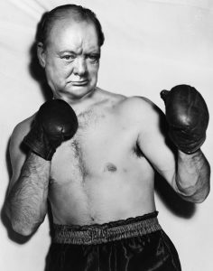 Churchill the boxer